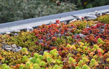 the cost of Gedney Drove End green roof installation