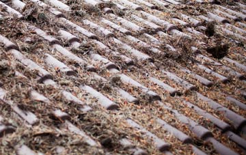 Gedney Drove End roof cleaning companies